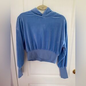 Forever 21 Velvet Cropped Hoodie
